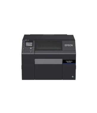 imprimante EPSON D6500AE de face