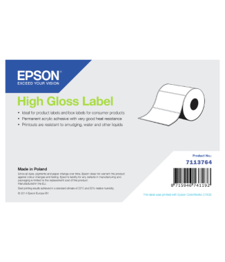 Rouleau papier brillant adhésif continu 203mm x 60m Epson ColorWorks 7113764